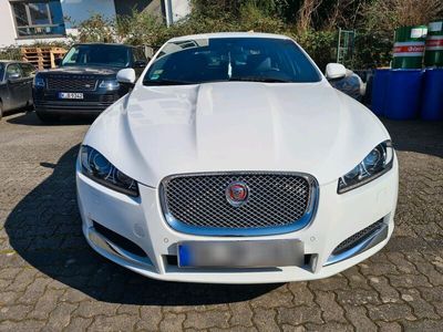 gebraucht Jaguar XF 2014