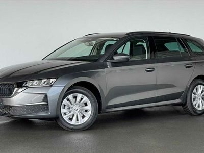 Gebraucht Skoda Octavia Selection 150 PS (110 kW) 2024 Grau Kombi