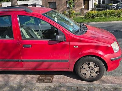 Usata Fiat Panda 60 CV (44 kW) 2008 Rosso Utilitaria