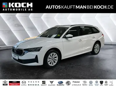 Neu Skoda Octavia 150 PS (110 kW) 2025 Candy white Kombi