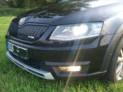 gebraucht Skoda Octavia Scout 