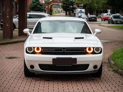 Gebraucht Dodge Challenger SXT 309 PS (227 kW) 2021 Weiß Coupé