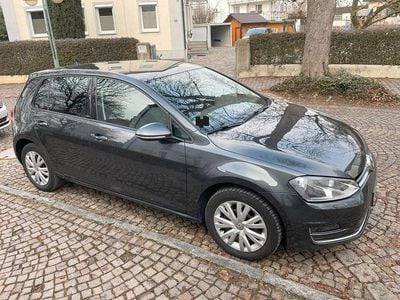 Grau Gebraucht 2016 VW Golf Allstar Limousine | 9.900 € (Guter Preis)
