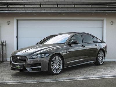 Gebraucht Jaguar XF R-Sport 300 PS (220 kW) 2017 Grau Limousine