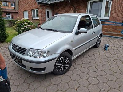 VW Polo