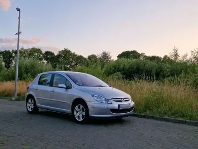 Gebraucht Peugeot 307 Premium 109 PS (80 kW) 2004 Grau Limousine