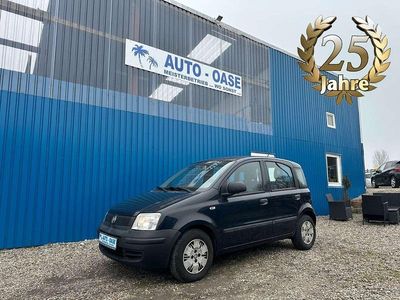 Gebraucht Fiat Panda Active 54 PS (39 kW) 2009 Blau Kleinwagen