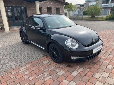 VW Beetle