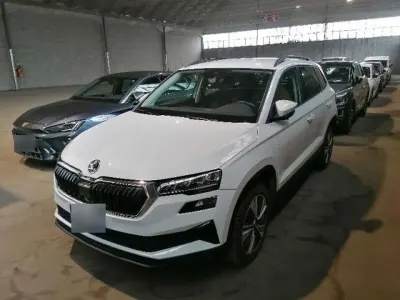 Usata Skoda Karoq Ambition 116 CV (85 kW) 2024 Bianco SUV