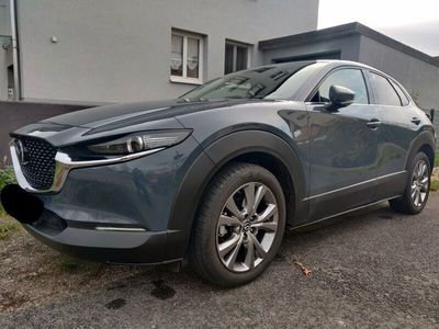 gebraucht Mazda CX-30 SKYACTIV-D 1.8 SELECTION / HUD / Bose