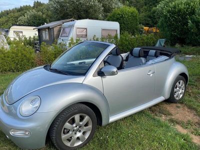 VW Beetle