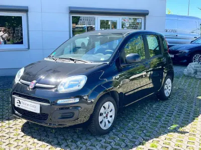 Usata Fiat Panda Pop 69 CV (50 kW) 2016 Colore esterno Utilitaria