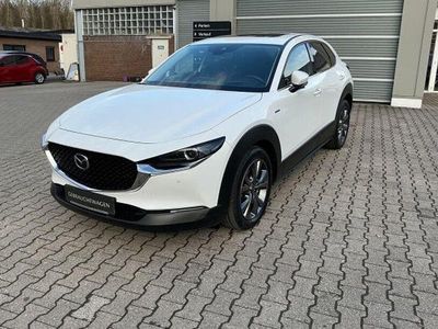 Gebraucht Mazda CX-30 Sky 179 PS (131 kW) 2021 Snowflake white pearl SUV