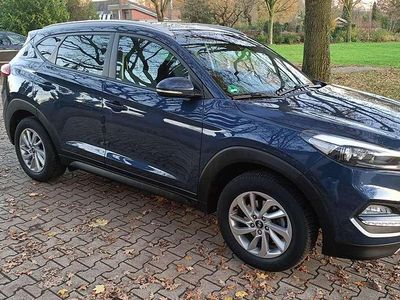 Gebraucht Hyundai Tucson Advantage 132 PS (97 kW) 2017 Blau SUV