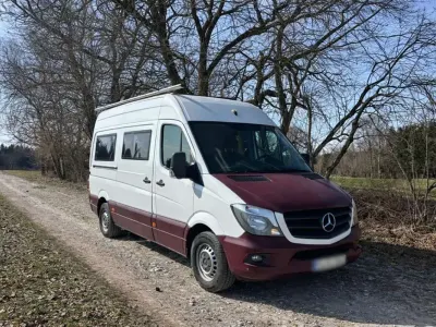 Gebraucht Mercedes Sprinter 163 PS (119 kW) 2015 Van