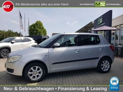 Silber Gebraucht 2010 Skoda Fabia Ambiente Kleinwagen | 4.900 € (Etwas zu teuer)