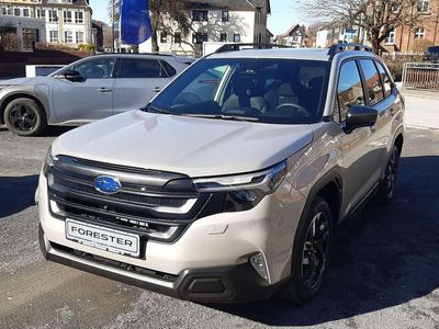 Gebraucht Subaru Forester Exclusive+ 136 PS (100 kW) 2025 Cashmere gold opal (yfc) SUV