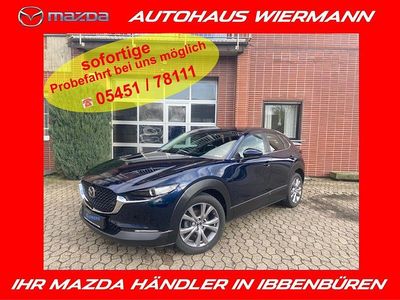 Gebraucht Mazda CX-30 Selection 122 PS (89 kW) 2021 Blau SUV