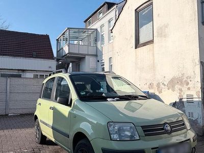 Gebraucht Fiat Panda 60 PS (44 kW) 2004 Grün Kleinwagen