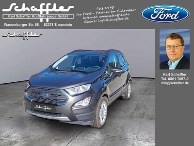 Gebraucht Ford Ecosport Titanium 125 PS (91 kW) 2021 Magneticgrau (metallic) SUV