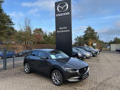 Neu Mazda CX-30 Exclusive 140 PS (102 kW) 2026 Machine gray SUV