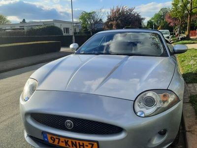 Jaguar XK8