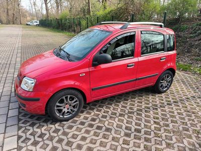 Usata Fiat Panda 60 CV (44 kW) 2010 Rosso Utilitaria