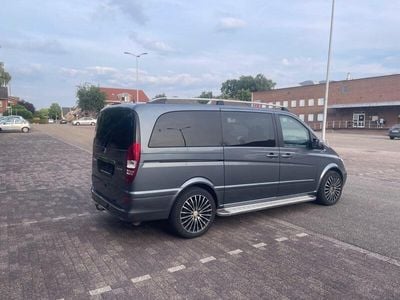 Mercedes Viano