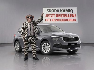 Neu Skoda Kamiq Selection 116 PS (85 kW) 2026 Energy blau SUV