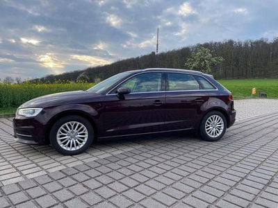 Gebraucht Audi A3 Attraction 150 PS (110 kW) 2014 Violet Limousine