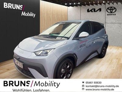 Neu BYD Dolphin Surf Comfort 114 kW (156 PS) 2026 Ice blue Kleinwagen