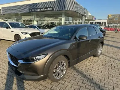Gebraucht Mazda CX-30 Selection 122 PS (89 kW) 2019 Grau SUV