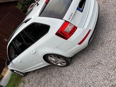 Weiß Gebraucht 2016 Skoda Octavia Joy Kombi | 12.990 € (Fairer Preis)