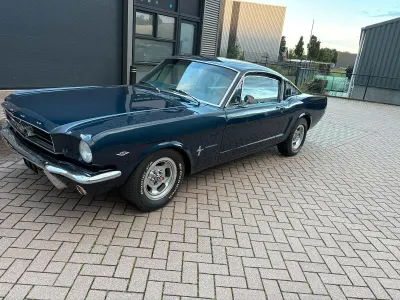 Gebraucht Ford V8 Fastback 202 PS (148 kW) 1965