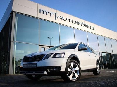 Weiß Gebraucht 2019 Skoda Octavia Kombi | 16.900 € (Etwas zu teuer)