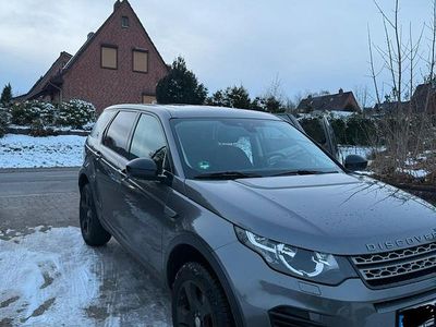 Usata Land Rover Discovery 5 150 CV (110 kW) 2017 Grigio SUV