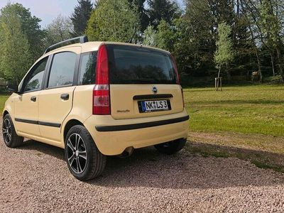 gebraucht Fiat Panda 60 ps sehr sparsam