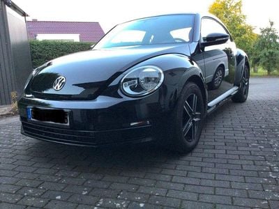VW Beetle