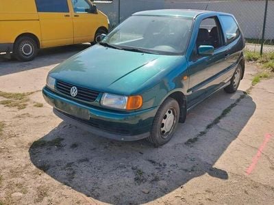 VW Polo