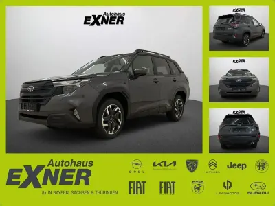 Neu Subaru Forester Active 136 PS (100 kW) 2026 Grau SUV