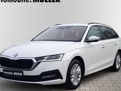 Gebraucht Skoda Octavia Ambition 150 PS (110 kW) 2023 Weiss Kombi