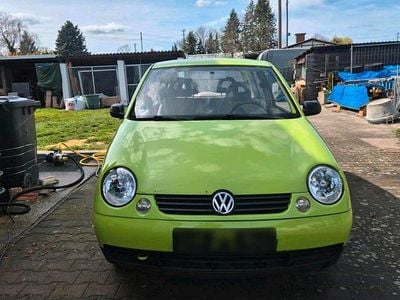 Gebraucht VW Lupo 50 PS (36 kW) 2002 Grün Kleinwagen