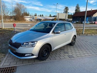 Gebraucht Skoda Fabia Ambition 60 PS (44 kW) 2020 Grau Kleinwagen
