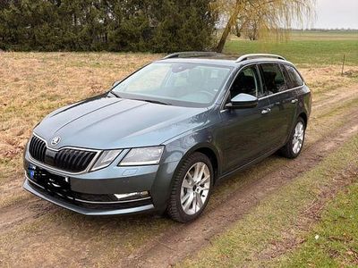 Usata Skoda Octavia Premium Edition 150 CV (110 kW) 2020 Grigio Station wagon