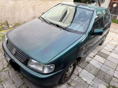 VW Polo