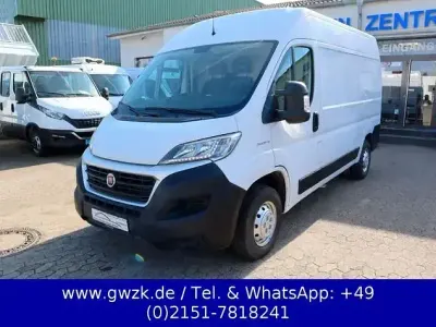 Usata Fiat Ducato 130 CV (95 kW) 2019 Bianco Furgone