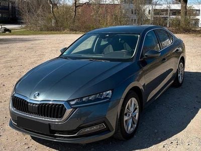 Usata Skoda Octavia Style 110 CV (80 kW) 2020 Grigio Berlina