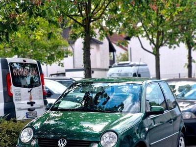 Usata VW Lupo 75 CV (55 kW) 2001 Verde Utilitaria