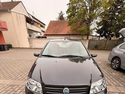 Usata Fiat Punto 60 CV (44 kW) 2005 Nero Utilitaria