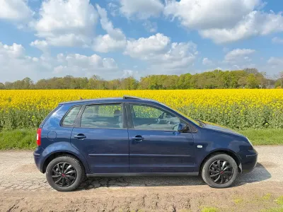 Używany VW Polo 75 KM (55 kW) 2002 Purpurowy Hatchback
